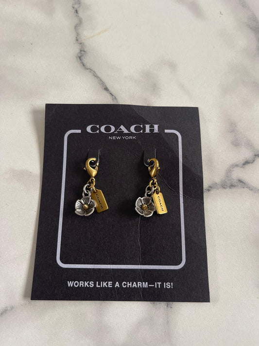 Bijoux d’ornement pour chaussure